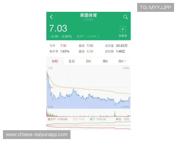 琑队如何优化球员薪酬架构与公平性，球队人员配置